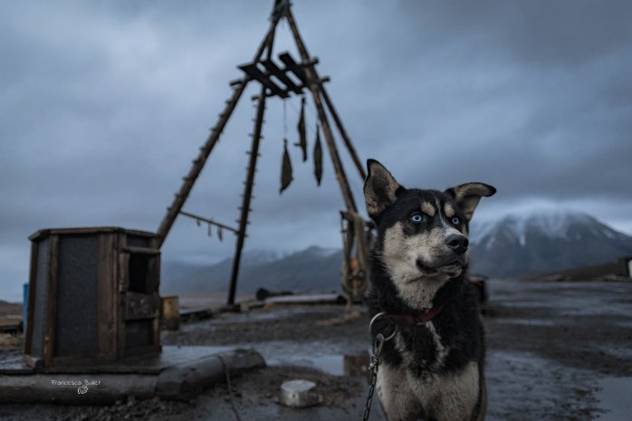 Trapper's Station. Norvegia Svalbard Island - Longyearbyen